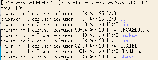 nvm 経由で npm をインストールした状態